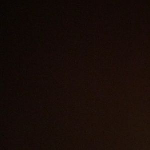 Meet your Posher, Ally